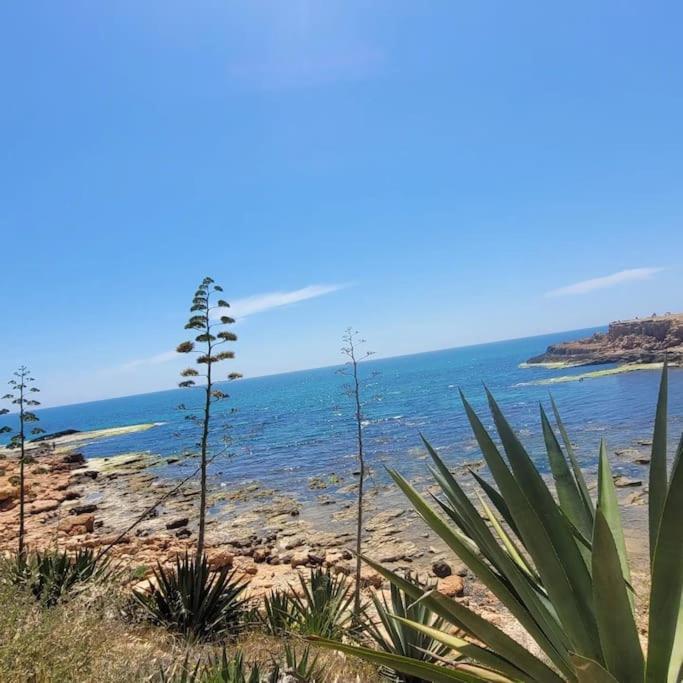 Belle Mar Sea View Studio Torrevieja Eksteriør billede