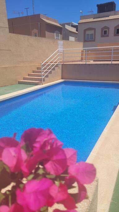 Belle Mar Sea View Studio Torrevieja Eksteriør billede